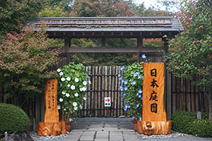 the Japanese Garden