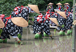 お田植祭