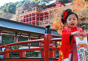 Shichigosan Festival