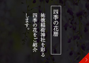 四季の花暦