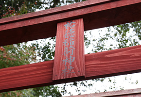 Red Torii