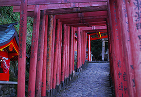 Red Torii