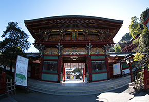 Gate and pond