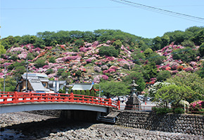 外苑東山つつじ苑・花園