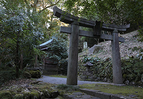 Wakamiya Shrine